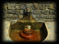 La Fontana del Leone