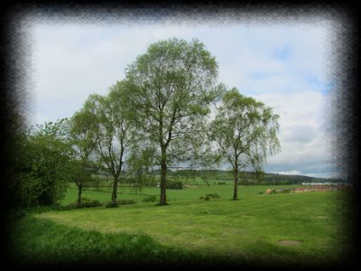 Il sito della battaglia di Bannockburn