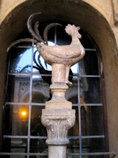 Il Gallo di San Pietro